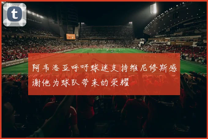 阿韦洛亚呼吁球迷支持维尼修斯感谢他为球队带来的荣耀