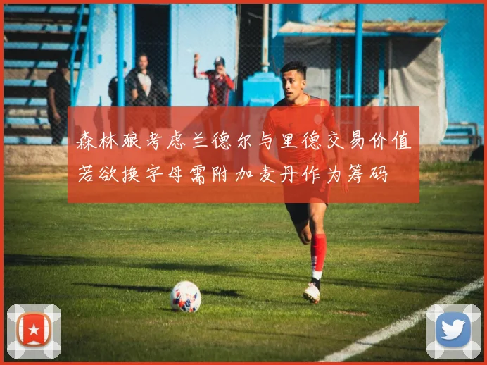 森林狼考虑兰德尔与里德交易价值若欲换字母需附加麦丹作为筹码
