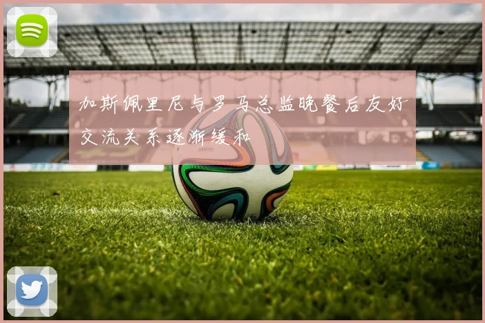 加斯佩里尼与罗马总监晚餐后友好交流关系逐渐缓和